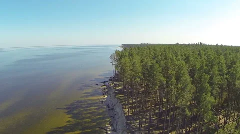 Flying along the coastline high above the trees. Aerial view. Stock Footage 49166757