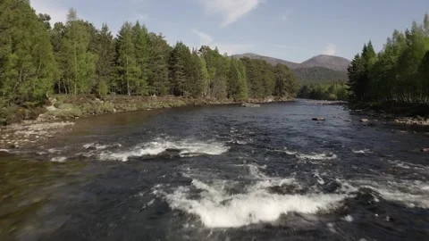 Flying along Dee River with pine trees on river banks, wild Scottish nature at Vídeos de archivo 251047738