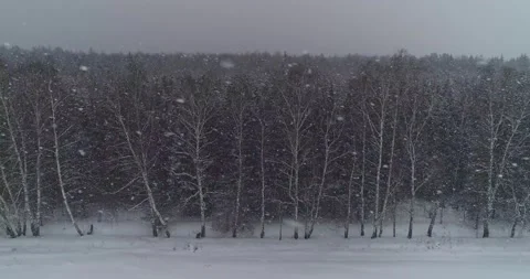 Flying along the forest with active snowfall Stock Footage 147671943