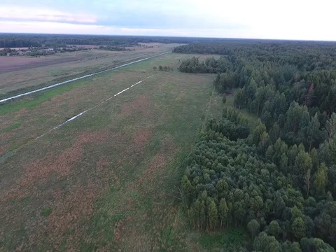 Flying along the forest and meadows Stock Footage 70347116