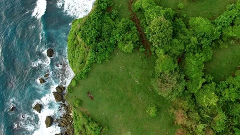 Flying along high cliffs of rocky ocean shore Video stock 108680107