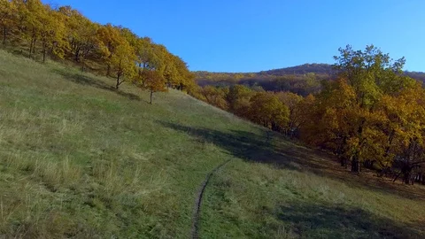 Flying along the hillside Stock Footage 99744352