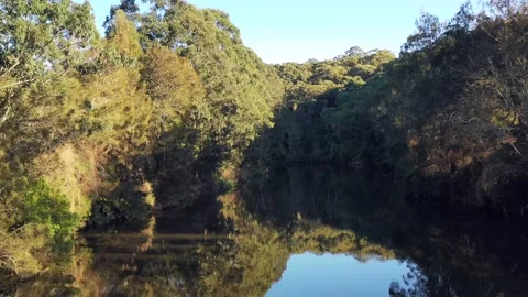 Flying along Lane Cove river between gum-tree woods up to sky – 4k. Stock Footage 157406545