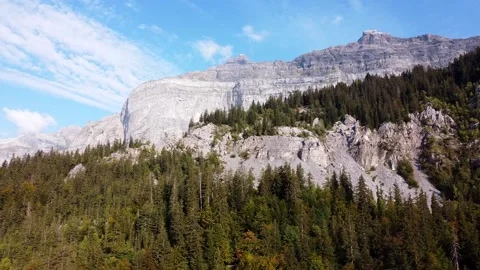 Flying along a mountain range and fir forest. Autumn colours. Video stock 140782496