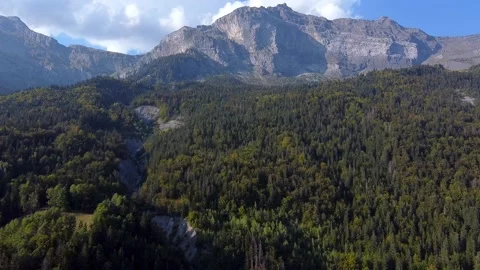 Flying along a pine forest and mountains range. Autumn colours. Video stock 152047170