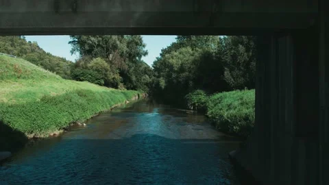 Flying along the river between trees - aerial view 스톡 동영상 160200939