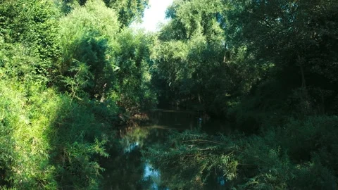 Flying along the river between trees - aerial view 스톡 동영상 160200972
