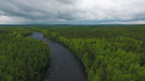 Flying along a river. Green forest Stock Footage 134792603