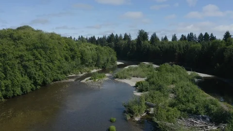 Flying along a riverbed that is drying up Stock Footage 112311427
