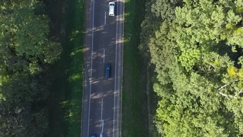 Flying along the road between threes with driving vehicles Stock Footage 145755797