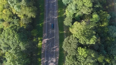 Flying along the road between threes with driving vehicles Stock Footage 145755932