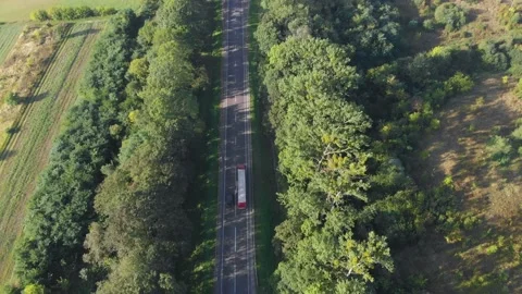 Flying along the road between threes with driving vehicles Stock Footage 145756115