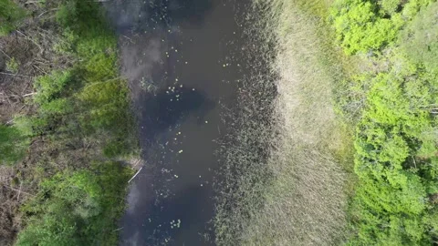Flying along a small river Video stock 310737865