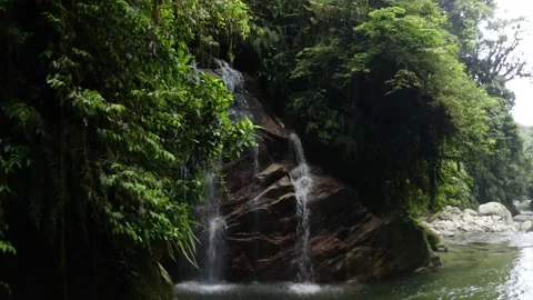 Flying along a small wall covered in green ferns towards a natural waterfall Stock Footage 152862070