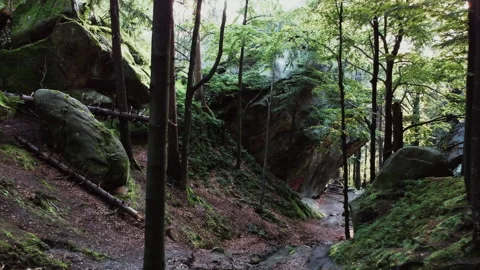 Flying along the stone mountain trail in the forest. Video stock 151501422