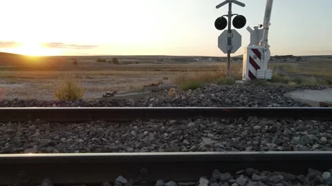 Flying Along a Train Track Video stock 205136371