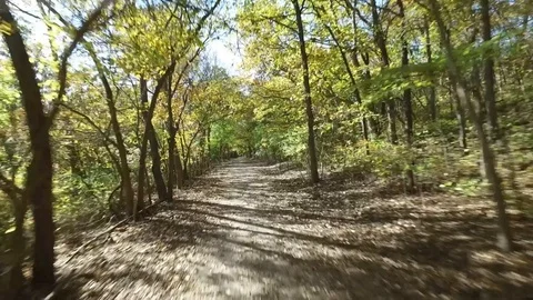 Flying along a tree covered walking path in the Fall Stock Footage 102301541