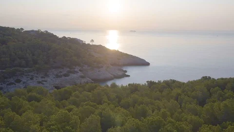 Flying along tree line looking out to sea at sunrise 스톡 동영상 101281569