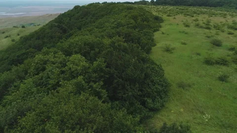 Flying along the trees overlooking the fields Video stock 153003331