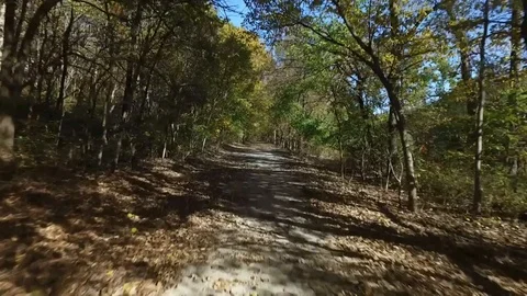 Flying along a walking path in the woods Stock Footage 102301376