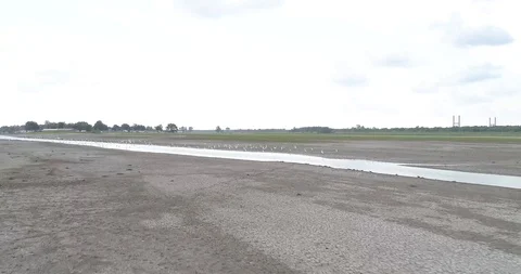 Flying along with White Egrets Stock Footage 114570940