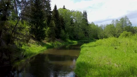 Flying along wild clear forest river Stock Footage 169929657