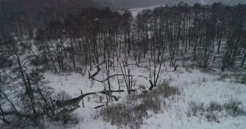 Flying along a wintert small forest river Stock Footage 147691255