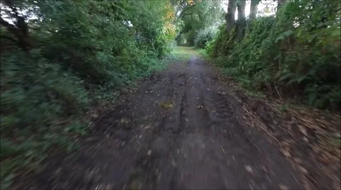 Flying along a wooded path or track. Stock Footage 68543138