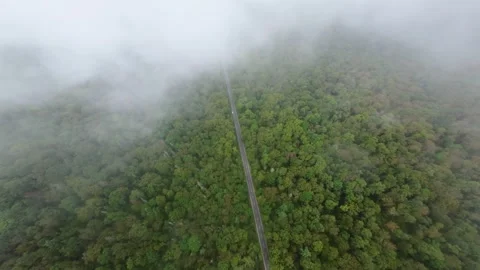 Flying amidst the clouds over the green forest Stock Footage 313947339