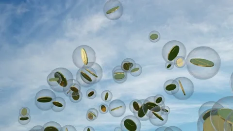 Flying and bursting soap bubbles with gold coins inside against blue sky Stock Footage 149079526