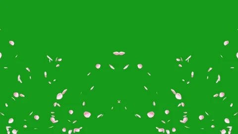 Flying and falling rose petals motion graphics with green screen background Stock Footage 164711948