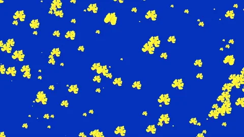 Flying and falling yellow leaves Vidéo 93859152