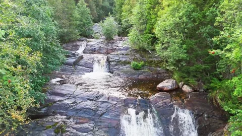 Flying and following a stream in the forest Stock Footage 249798924