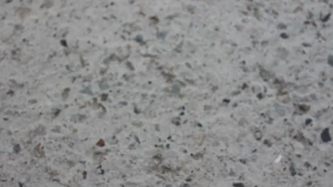 Flying ants moving fast before the rain Stock Footage 247470174