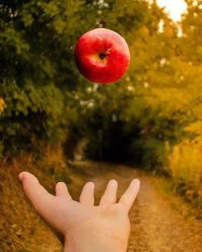 Flying Apple Stock Photos