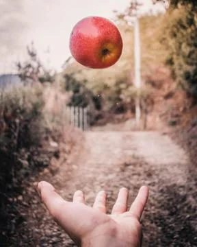 Flying Apple Stock Photos