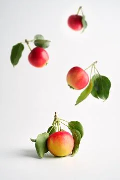 Flying Apples on a light background Stock Photos