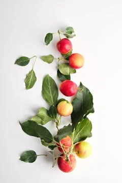 Flying Apples on a light background Stock Photos
