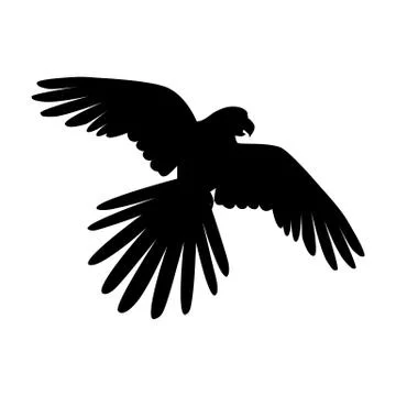 Flying Ara Parrot Flat Design Vector Illustration Stock Illustration