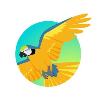 Flying Ara Parrot Flat Design Vector Illustration Stock Illustration