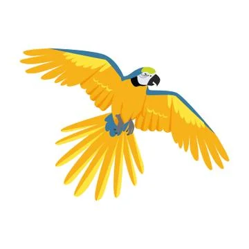 Flying Ara Parrot Flat Design Vector Illustration 스톡 일러스트