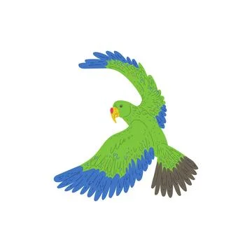 Flying aratinga or macaw parrot with green plumage flat vector isolated . Stock Illustration
