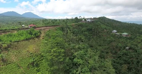 Flying around back roads of Bali on mountain top Stock Footage 73100954