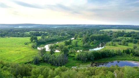Flying around the bend of the river in the evening. Stock Footage 116689523