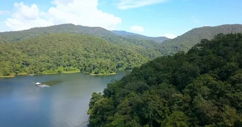 Flying around big mountain covered with forest above lake Video stock 108477072
