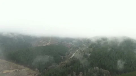 Flying around cloudy forest in new zealand Stock Footage 133933304
