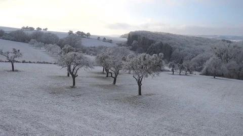 Flying around frozen trees. Video stock 71126460