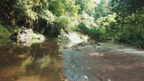 Flying around the lake with a drone Stock Footage 319907736