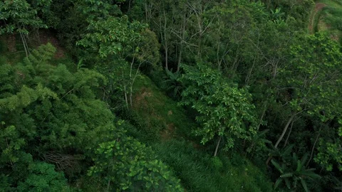 Flying around Mount Batur, an active Volcano in Bali Indonesia days after Stock Footage 102532994