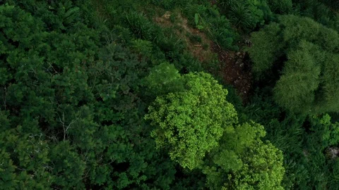 Flying around Mount Batur, an active Volcano in Bali Indonesia days after Stock Footage 102533460
